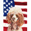 2 côtés en polyester de 2 côtés american drapeau de jardin-1288238433