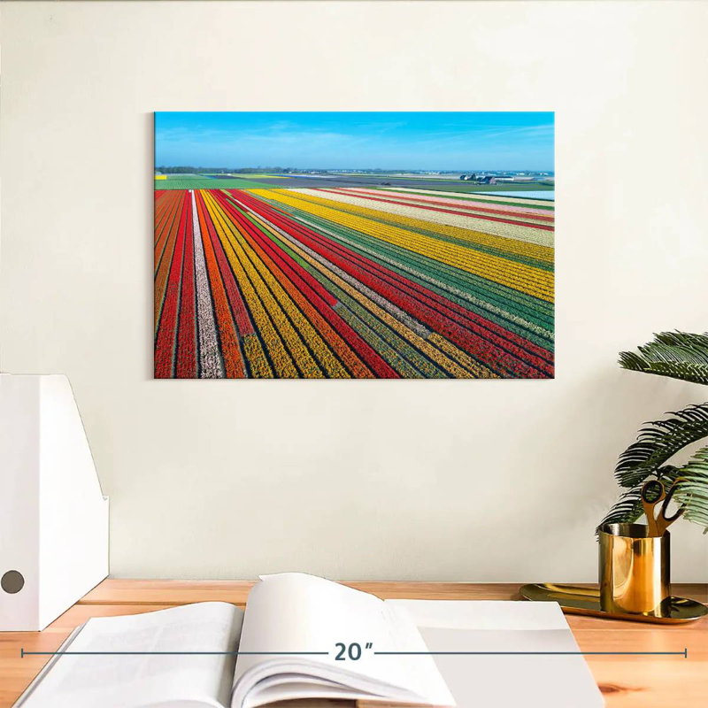 Ferme de tulipes sans fin Alvord, H 8 po x l 12 po