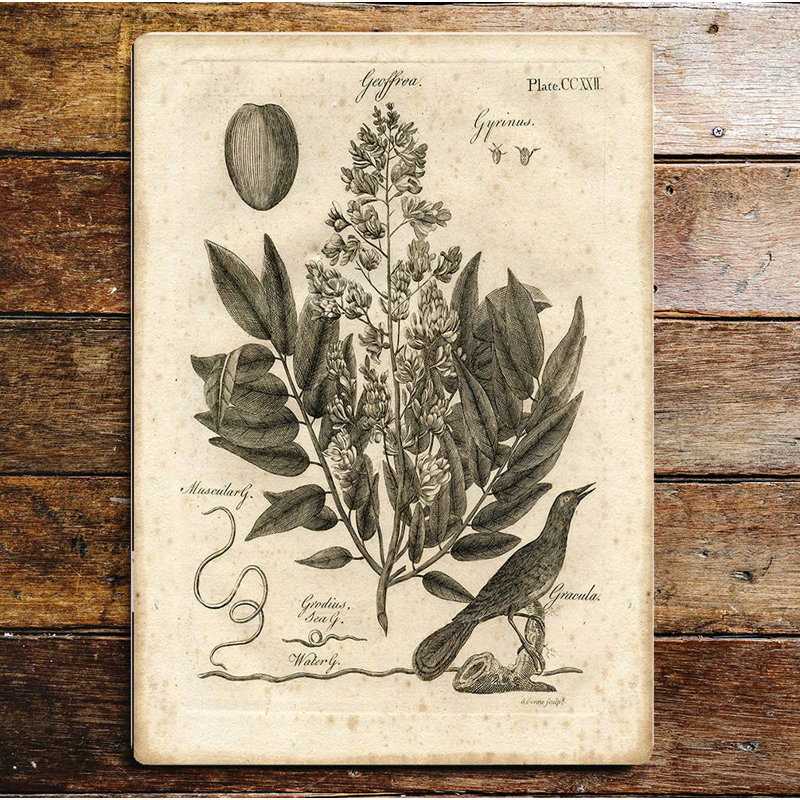 Handmade Plants & Flowers Wall Decor on Metal, 60cm H x 40cm W