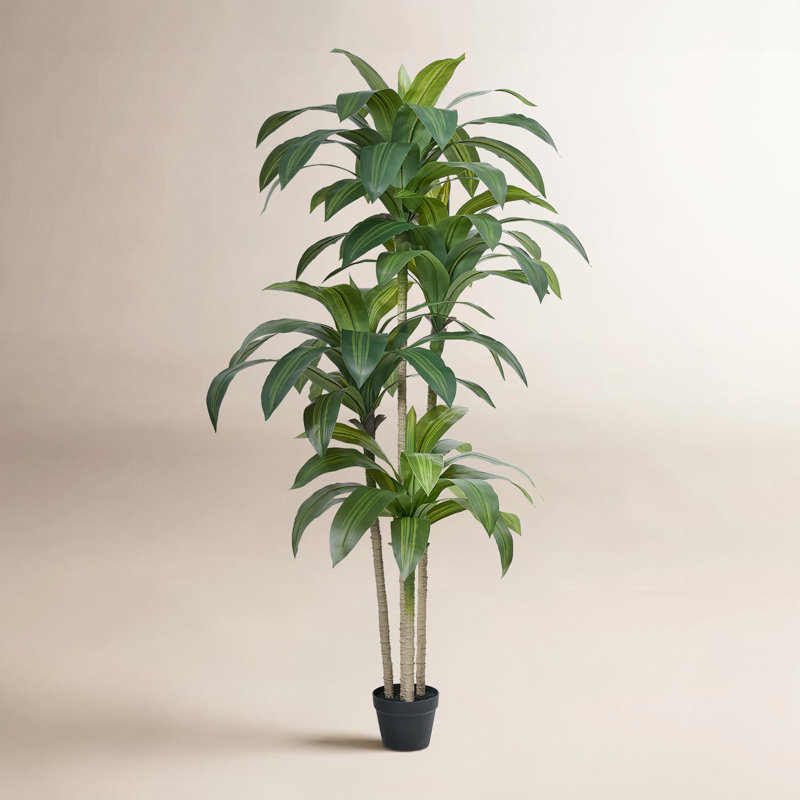 Dracaena artificiel Adcock résistant aux rayons UV, grande plante Dracaena pour la décoration intérieure intérieure, Vert
