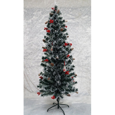 Lighted Christmas Tree