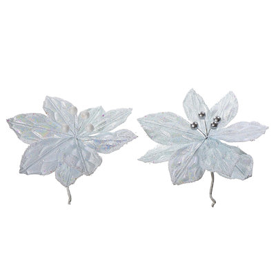 Poinsettia blanc - ensemble de 12