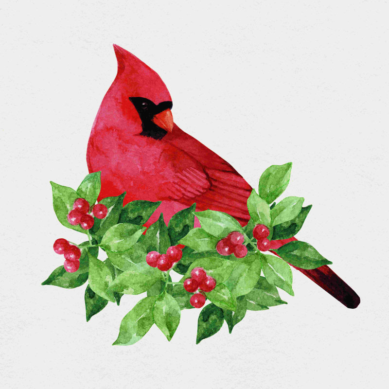 Cardinal in Holly - peinture sur toile tendue, H 30 po x l 30 po