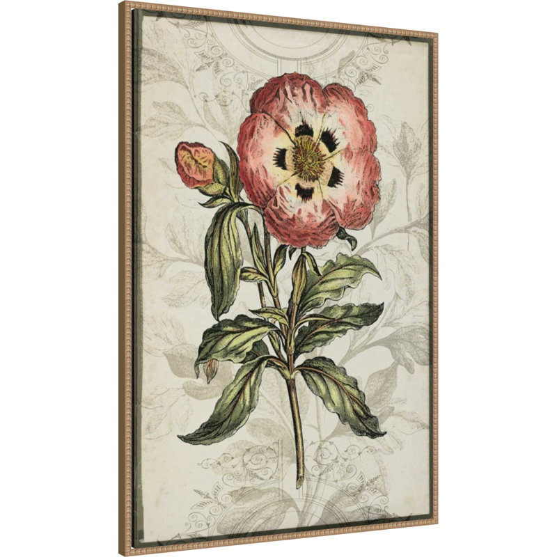 «Keepsake Floral No. 2» par Jennifer Goldberger, reproduction d'art sur toile encadrée