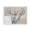 «Wail Bugle» par Diane Fifer, reproduction d'art-460697606-460697646-460697634