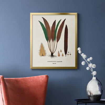 Botanical Society Ferns I Premium Framed Canvas - Ready to Hang