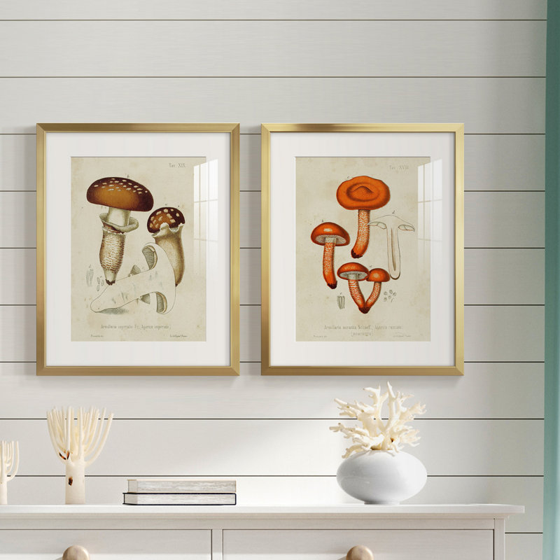 Variétés de champignons III - reproduction encadrée de qualité supérieure - prête à être accrochée