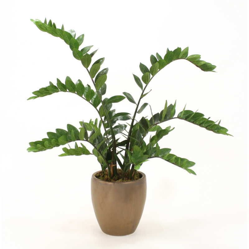 44'' Faux Foliage Plant in Planter