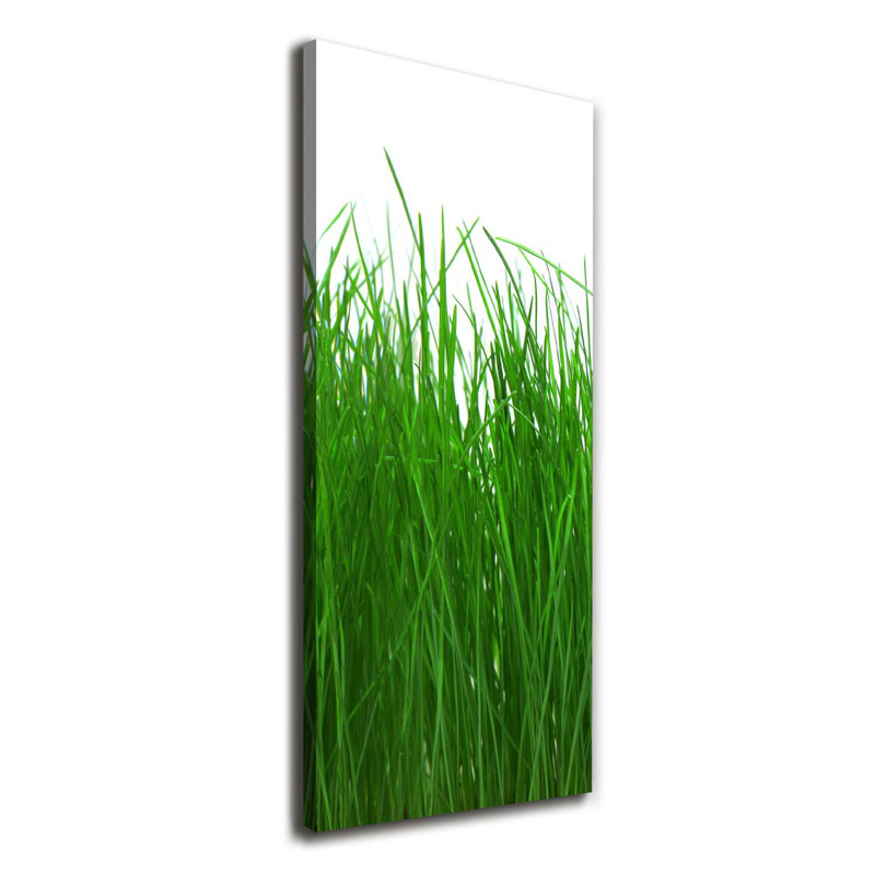 Grass - Wrapped Canvas Print