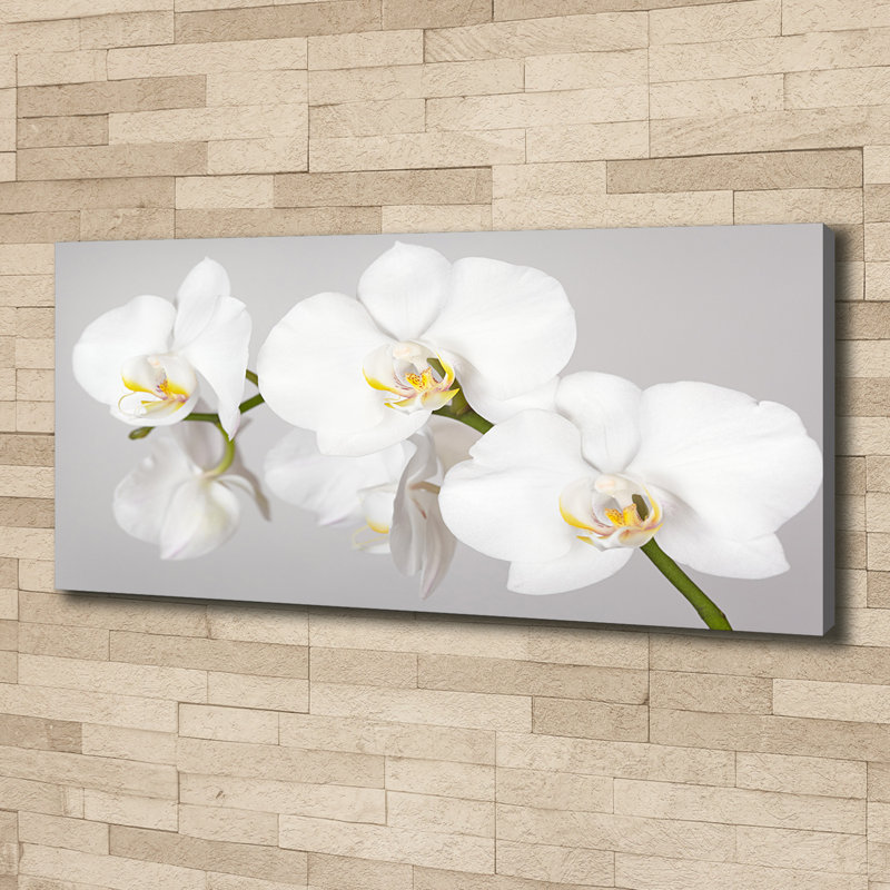 Orchid 1 Piece Wrapped Canvas Wall Art
