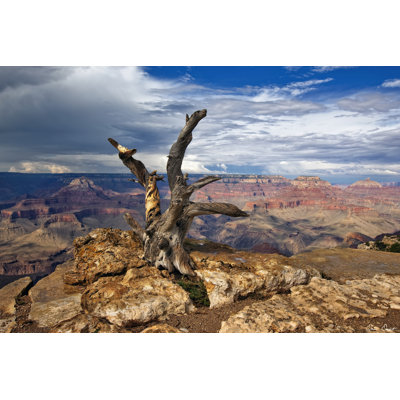 Canyon View V 1 Piece Wrapped Canvas Wall Art