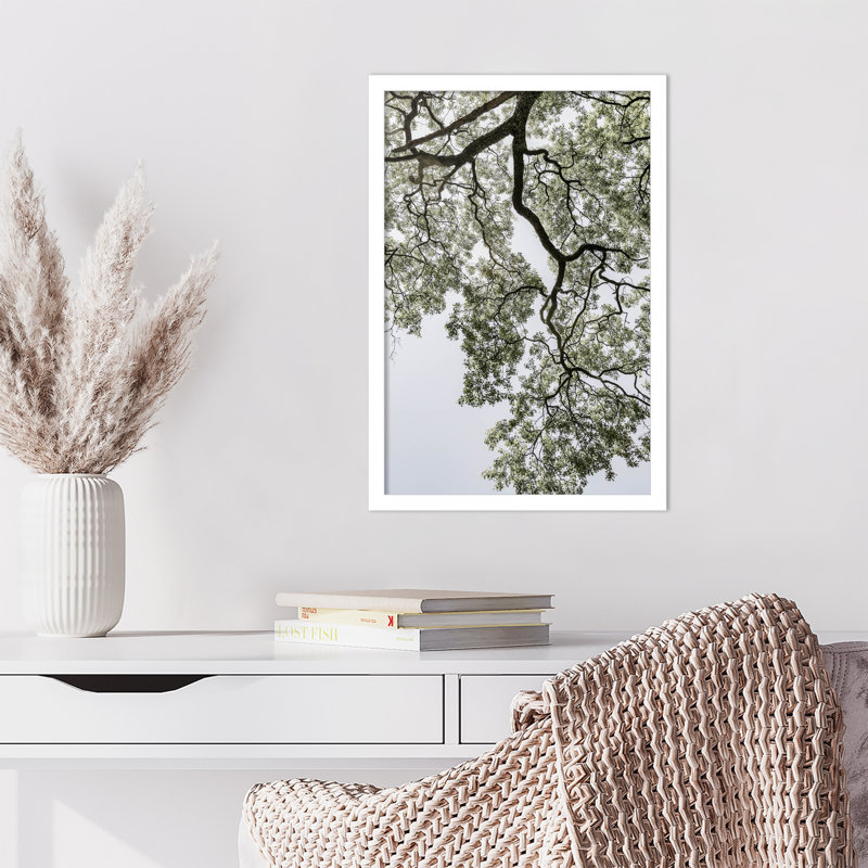Pleasantville Coastal Forest by Shot by Clint Wood Framed Wall Art Print, White, 21" H x 15" W