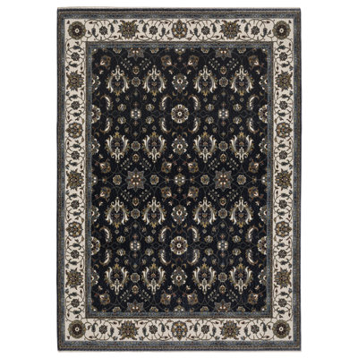 Sorusch Oriental Indoor Rug