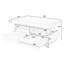 Anjalie Pedestal Coffee Table with Storage