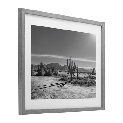 Sunlit Cactus Valley, reproduction encadrée sous verre, design par Norm Stelfox