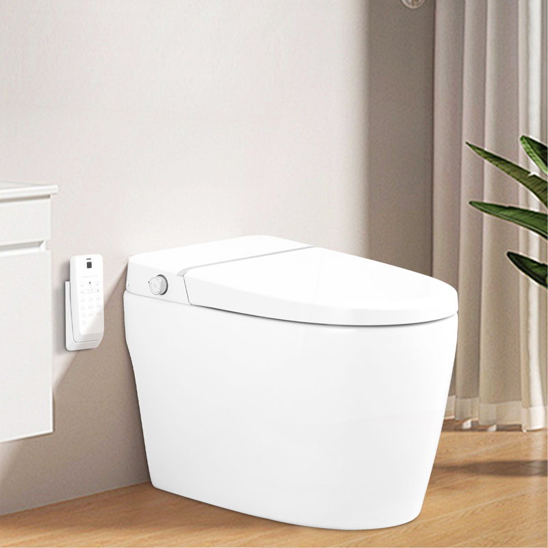 Combo intelligent pour bidet de toilette avec buse autonettoyante