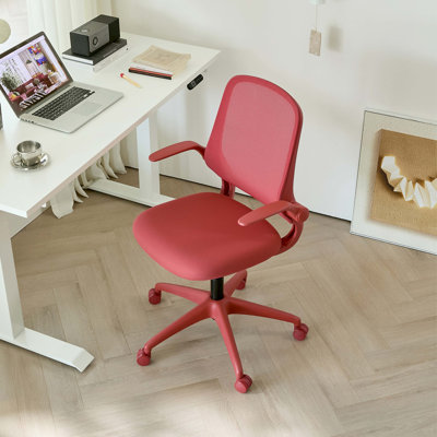 Fauteuil de bureau ergonomique et coloré 350LBS Home Office Mesh