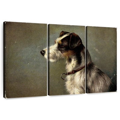 Brampt Artist Dog Snout Jack Russell Terrier Collar