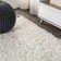 Felicdad Shag Plush Tassel White Rug