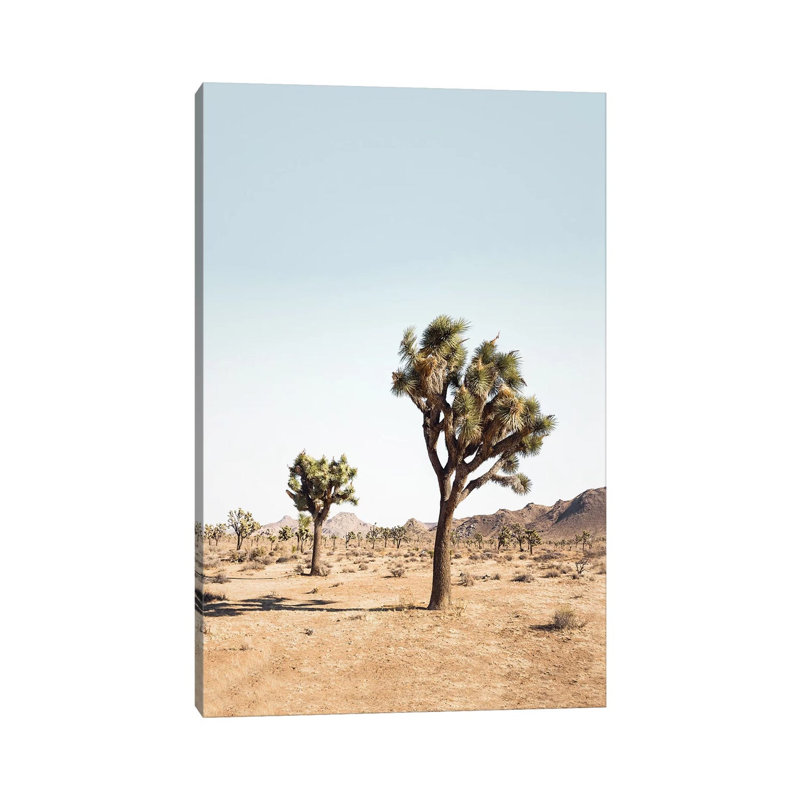 Desert Tree by Sisi & Seb - Wrapped Canvas Gallery-Wrapped Canvas Giclée, 30.48cm H x 20.32cm W
