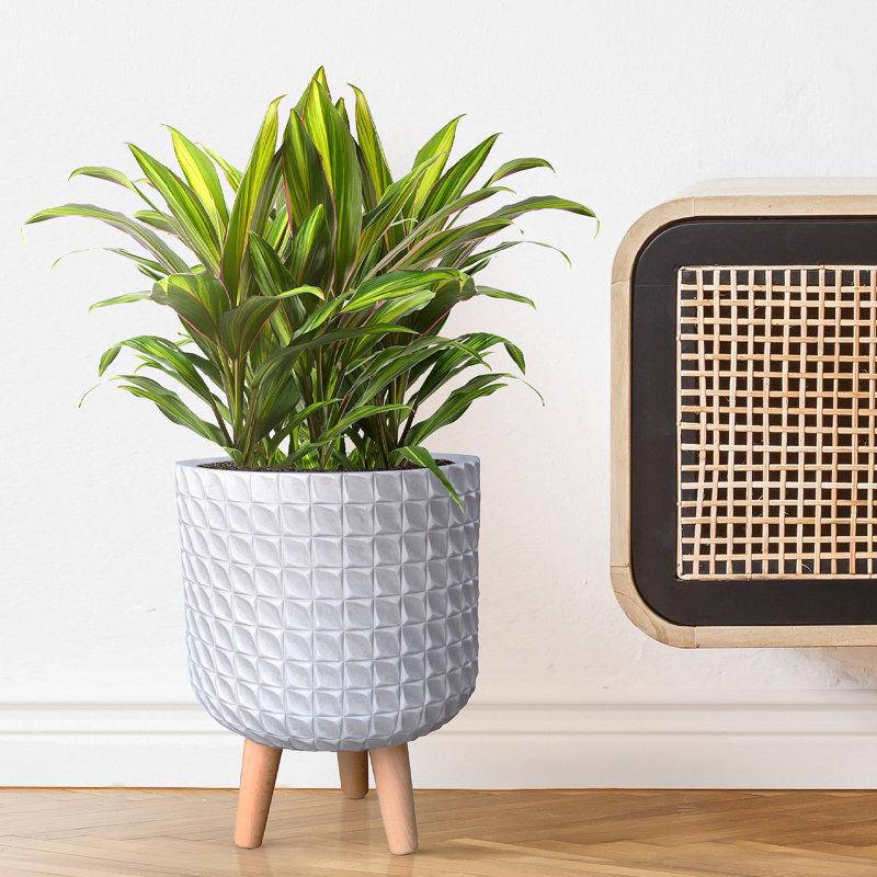 Geometric Patterned Cylinder Planter with Feet, 34cm H x 25cm W x 25cm D, White