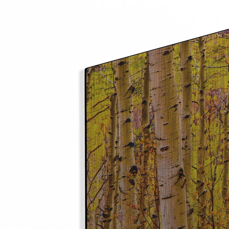 «Aspen Autumn» par Mark A Paulda, H 16 po x l 24 po