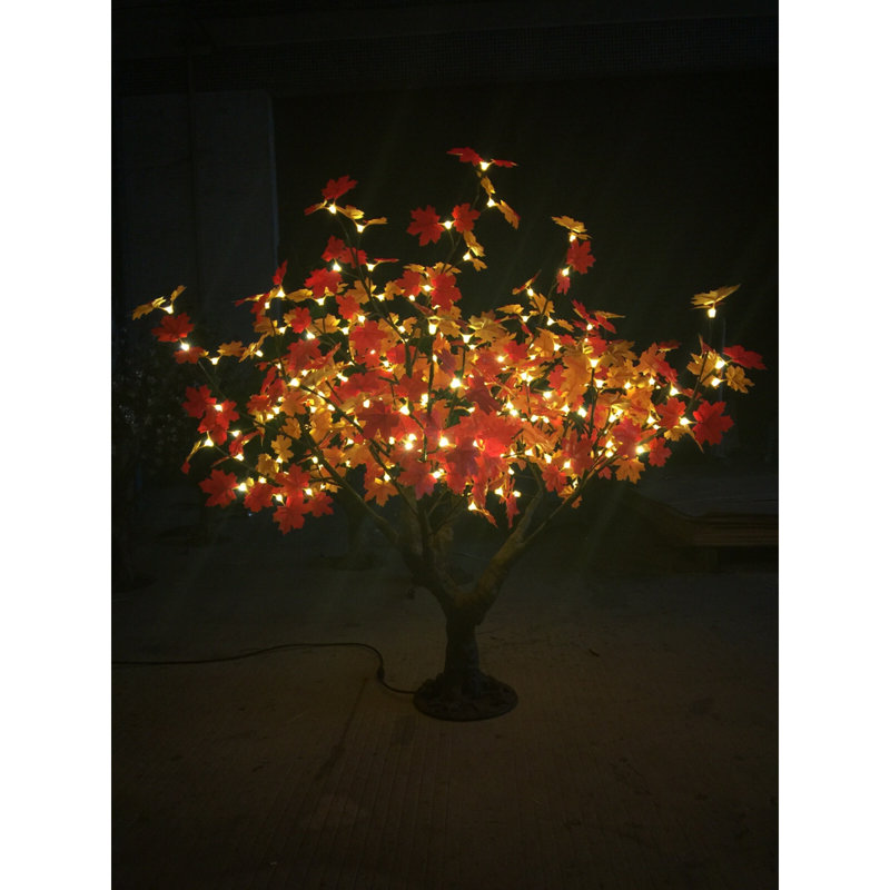 Érable illuminé et branches, Orange