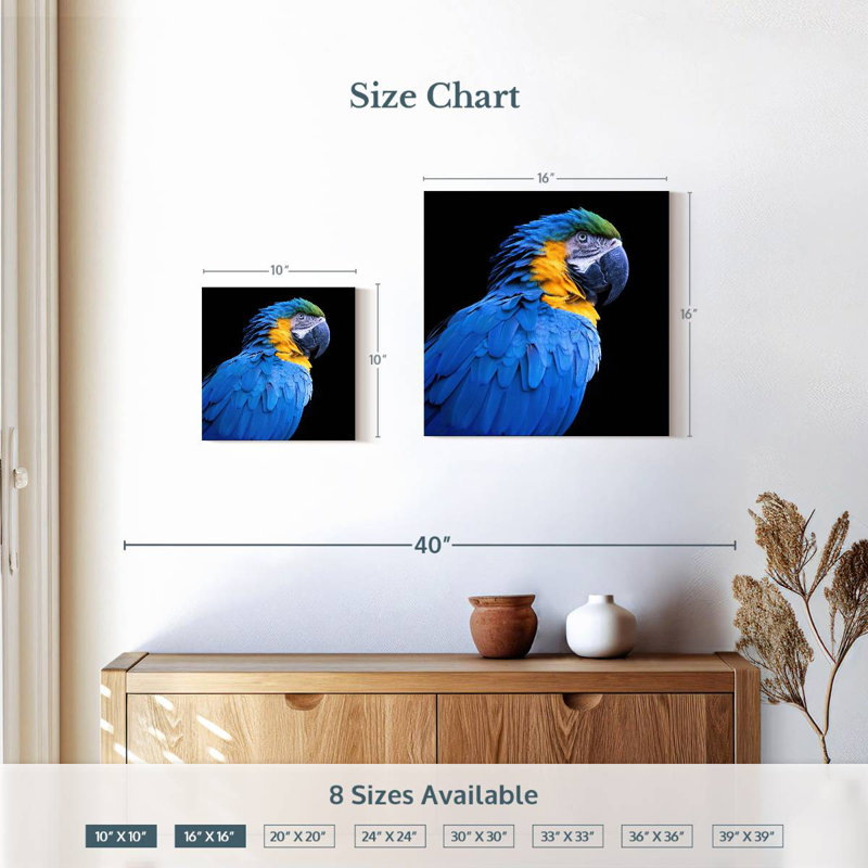 Brampt Neotropical Blue Macaw, 10'' H x 10'' W