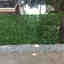 Photos des clients 2 de 2
