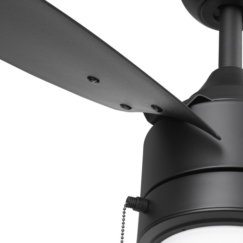 Teo 56" Indoor Outdoor Ceiling Fan with Pull Chain and Light Kit Included