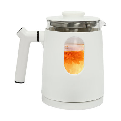 Electric Tea Kettle with Temperature Control