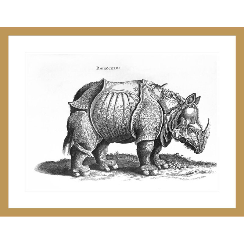 «Rhinoceros no 76» par «historique animal» par Conrad Gesner (1516-65) par Albrecht Dürer, impression giclée encadrée