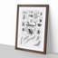 Study of Insects XXXVIII by Oliver Goldsmith - Picture Frame Drawing Print-55730166-55730167