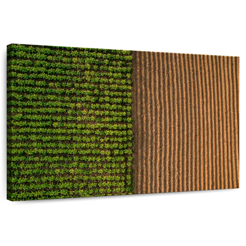 Alvord Plowed Farm Field, 30" H x 45" W