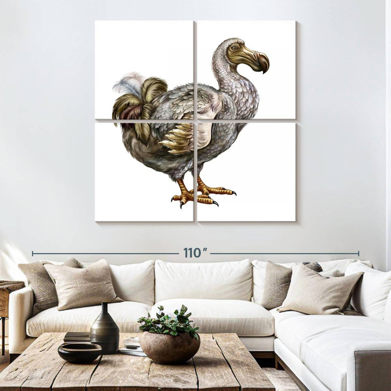 Brampt Dodo, 74" H x 74" W