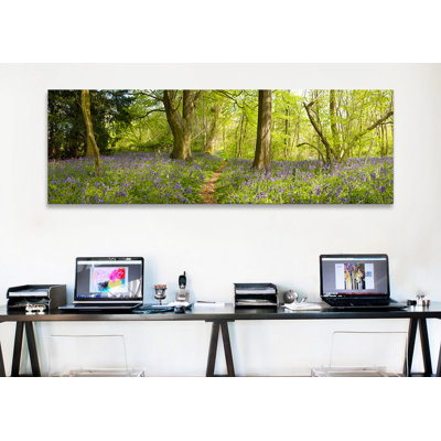 " Trees In A Forest, Thursford Wood, Norfolk, England " by Panoramic Images