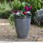 Pot Planter