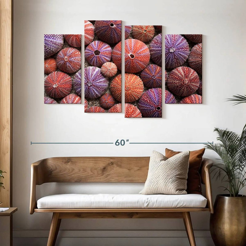 Brampt Empty Sea Urchin Shells, 32" H x 52" W