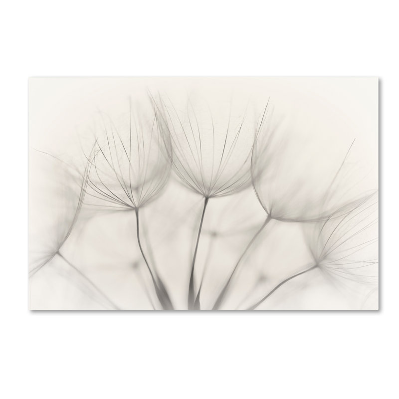 « untitleed », reproduction d’impression sur toile tendue, H 12 po x l 19 po