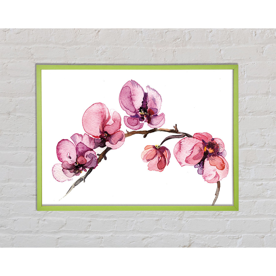 Gerahmtes Poster Attah The Pink Orchid Branch Single