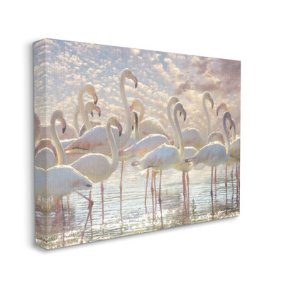 Jolis flamants roses et blancs sur fond de nuages d'eau scintillants par Steve Hunziker - photographie