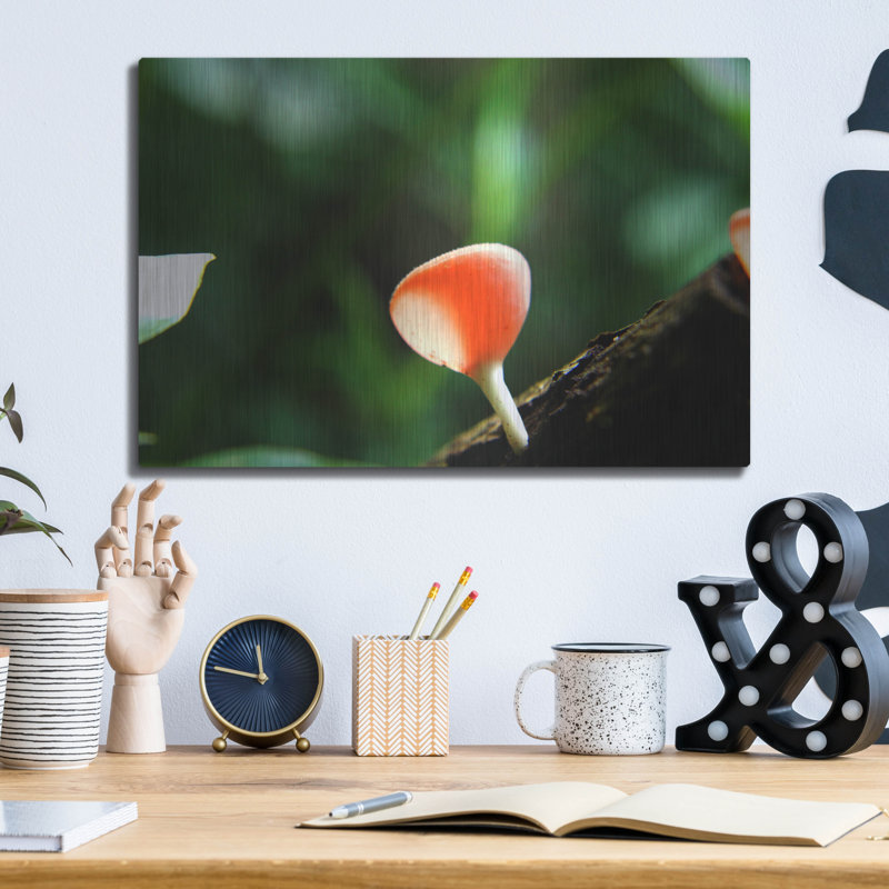 «Fungus 2» par Dana Brett Munach, H 12 po x l 16 po