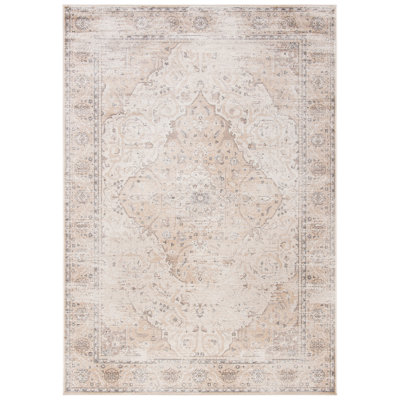 Finnell Oriental Viscose Area Rug