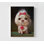 Sophie, par Lucia Heffernan, idée de décor de petit chien, adorable affiche animalière, art mural portrait de chien blanc, bureau accueillant les animaux de compagnie