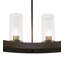 20 - Light Chandelier