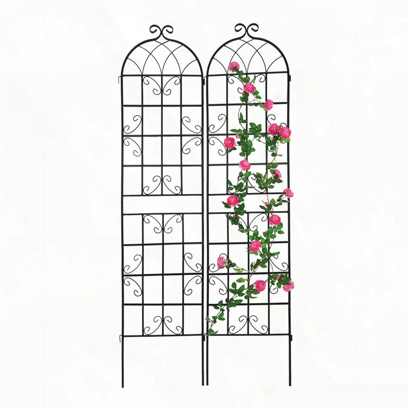 Ensemble de 2 treillis de jardin en métal 71 po x 19,7 po, Blanc, crème