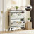 Two-tier Disinfecting Shoe Rack-970153681