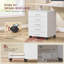 42cm Wide 5 -Drawer Mobile File Cabinet