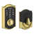 Bright Brass selected