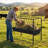 Livestock Feeding Trough Iron Black Farm Supplies Heavy Duty Feeder for Cattle Sheep-138114441